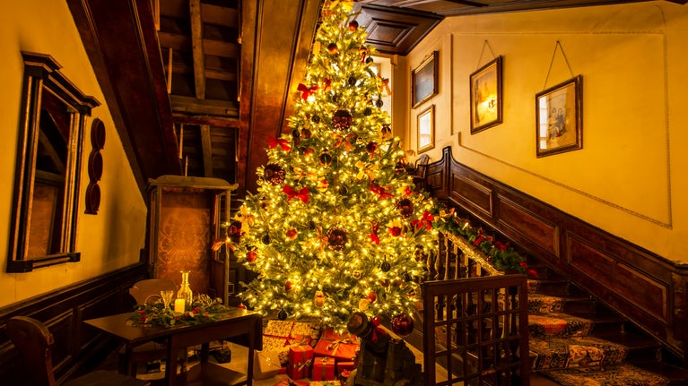 A warmly lit, brightly decorated Christmas tree stands at the bottom of the main staircase at Calke Abbey.